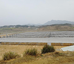 西峡县香菇种植基地项目