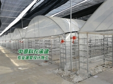 山东阜阳市食用菌温室大棚公司